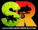 Bearded Dragon (Copy)